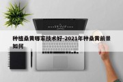 种植桑黄哪家技术好-2021年种桑黄前景如何