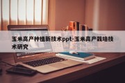 玉米高产种植新技术ppt-玉米高产栽培技术研究