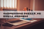 半枝莲种植技术和效益-半枝莲怎么养_半枝莲养殖方法_半枝莲种植技术