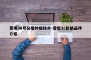 爱缓38号杂柑种植技术-爱媛38柑橘品种介绍