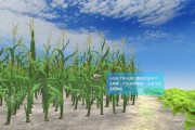 作物成长模拟模型的配置有哪些 (作物成长模拟器下载)