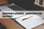 桑黄的种植方法栽培技术（桑黄的种植方法栽培技术图片）