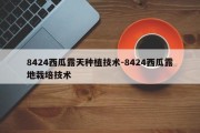 8424西瓜露天种植技术-8424西瓜露地栽培技术