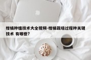 柑橘种植技术大全视频-柑橘栽培过程种关键技术 有哪些?