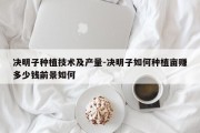 决明子种植技术及产量-决明子如何种植亩赚多少钱前景如何