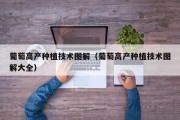 葡萄高产种植技术图解（葡萄高产种植技术图解大全）