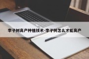 李子树高产种植技术-李子树怎么才能高产