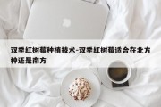 双季红树莓种植技术-双季红树莓适合在北方种还是南方
