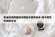 农业科技种植技术网桔子修剪枝术-桔子修剪时间和方法