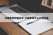 冷棚草莓种植技术-冷棚草莓什么时候定植