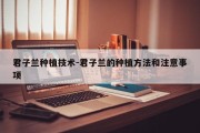 君子兰种植技术-君子兰的种植方法和注意事项