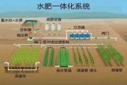 水肥一体化是什么 (水肥一体化是属于工程还是设备)
