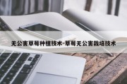 无公害草莓种植技术-草莓无公害栽培技术