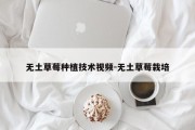 无土草莓种植技术视频-无土草莓栽培