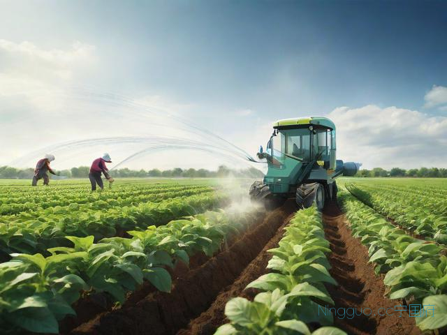 花生的种植与管理技术,花生种法及管理方法