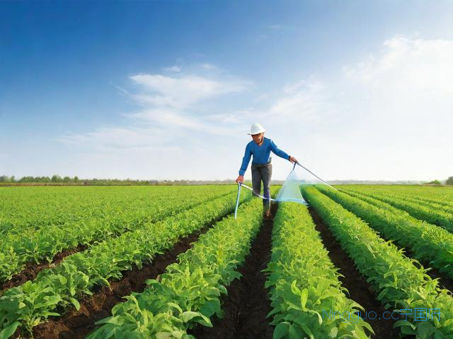 苏丹草种植技术,苏丹草种植技术与管理