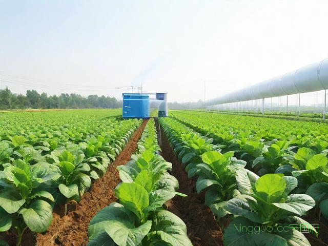 防风种植技术收益,防风种植技术收益怎么样