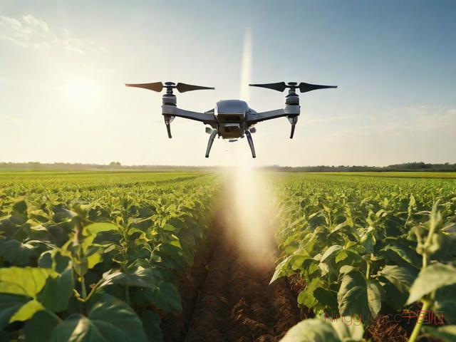 棉花种植技术视频,棉花的种植方法视频