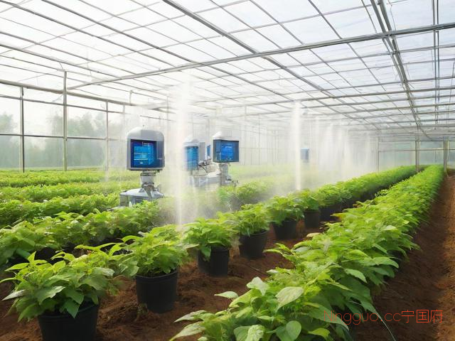 大棚苗木种植技术,大棚种植的技术