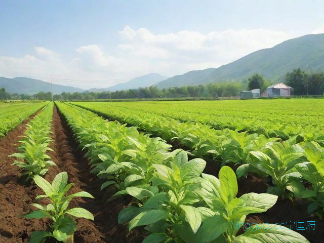 生地种植技术及亩收益,生地种植技术及亩收益生长期最短的药材
