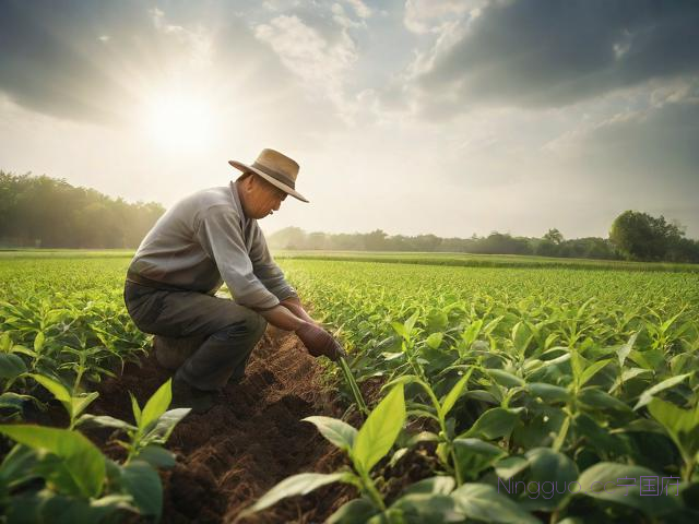 大豆的种植技术和方法,大豆的种植方法和时间怎么管理大豆