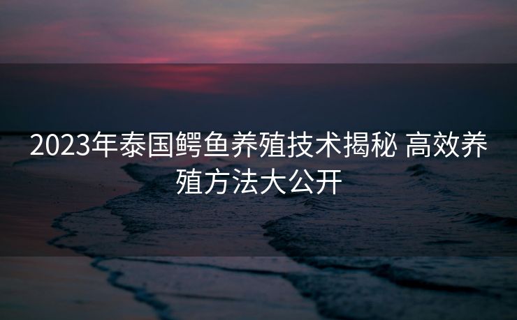 2023年泰国鳄鱼养殖技术揭秘 高效养殖方法大公开