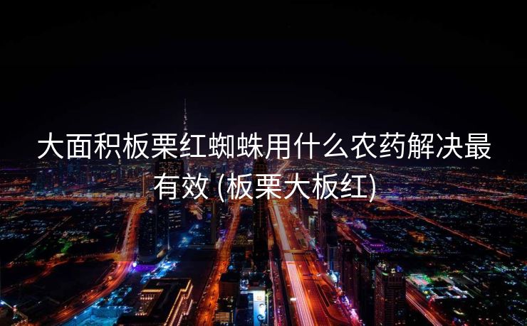 大面积板栗红蜘蛛用什么农药解决最有效 (板栗大板红)