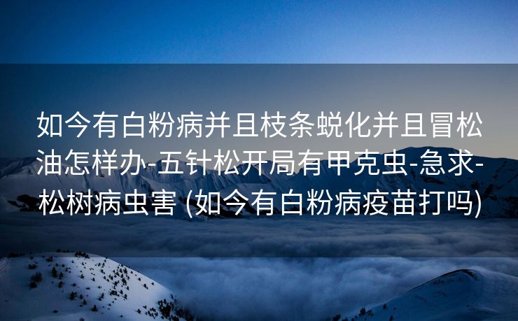如今有白粉病并且枝条蜕化并且冒松油怎样办-五针松开局有甲克虫-急求-松树病虫害 (如今有白粉病疫苗打吗)