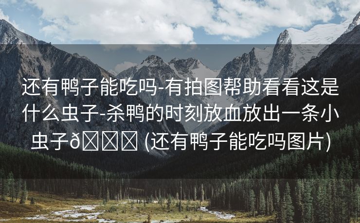 还有鸭子能吃吗-有拍图帮助看看这是什么虫子-杀鸭的时刻放血放出一条小虫子🐛 (还有鸭子能吃吗图片)
