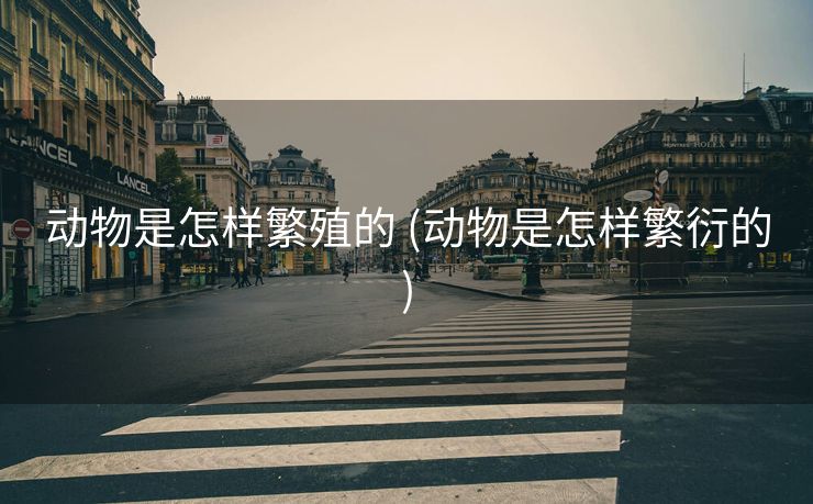 动物是怎样繁殖的 (动物是怎样繁衍的)