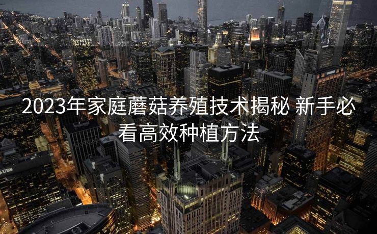 2023年家庭蘑菇养殖技术揭秘 新手必看高效种植方法