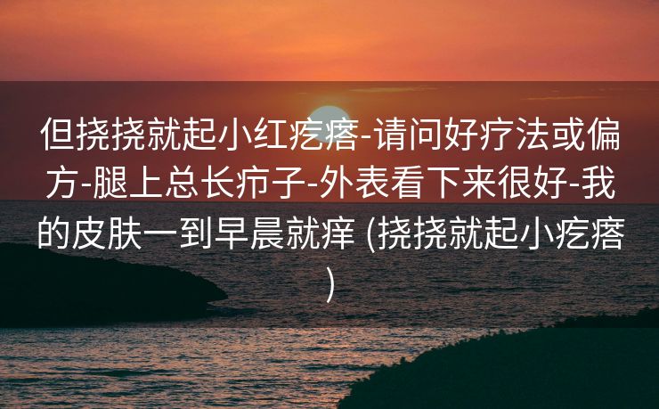 但挠挠就起小红疙瘩-请问好疗法或偏方-腿上总长疖子-外表看下来很好-我的皮肤一到早晨就痒 (挠挠就起小疙瘩)