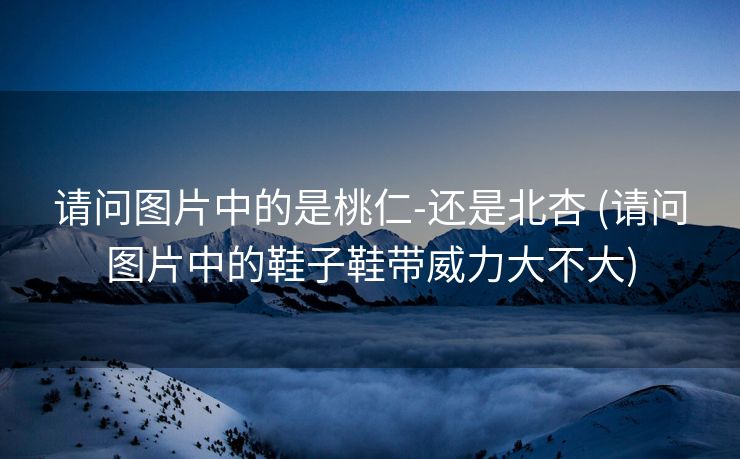 请问图片中的是桃仁-还是北杏 (请问图片中的鞋子鞋带威力大不大)