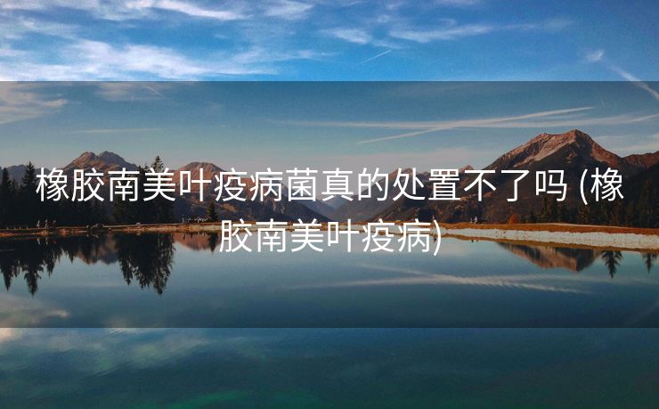 橡胶南美叶疫病菌真的处置不了吗 (橡胶南美叶疫病)