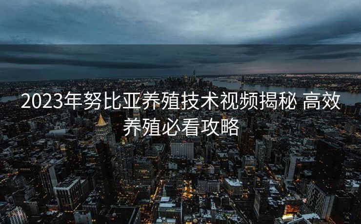 2023年努比亚养殖技术视频揭秘 高效养殖必看攻略