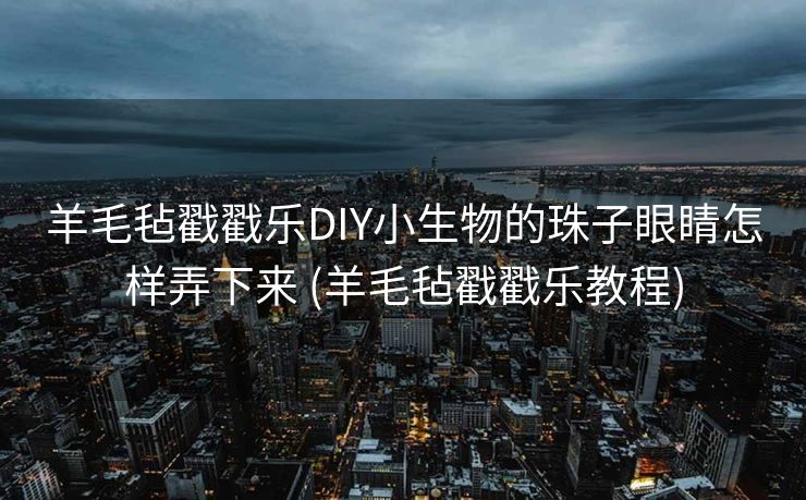 羊毛毡戳戳乐DIY小生物的珠子眼睛怎样弄下来 (羊毛毡戳戳乐教程)