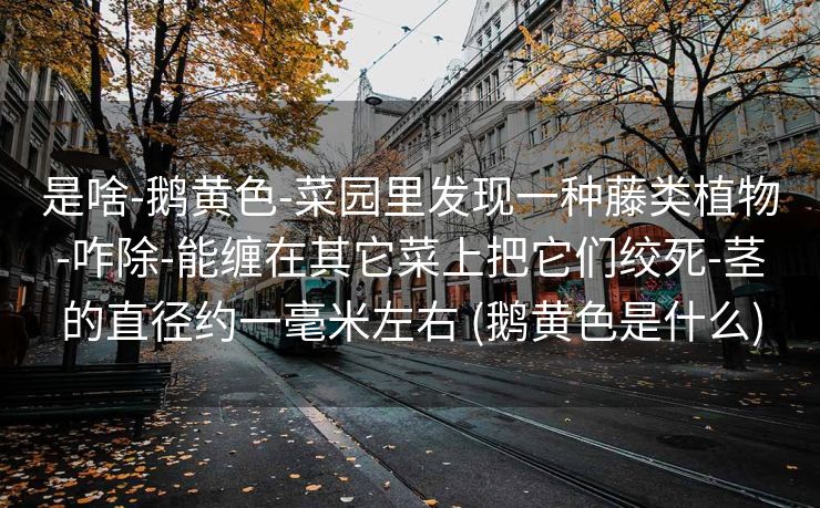 是啥-鹅黄色-菜园里发现一种藤类植物-咋除-能缠在其它菜上把它们绞死-茎的直径约一毫米左右 (鹅黄色是什么)