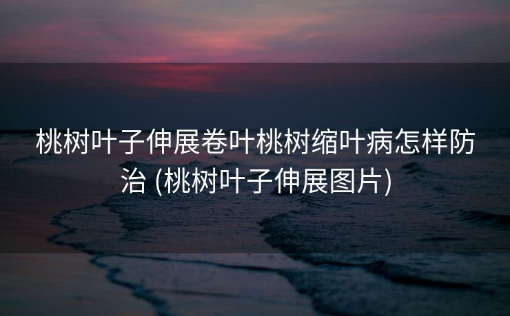 桃树叶子伸展卷叶桃树缩叶病怎样防治 (桃树叶子伸展图片)