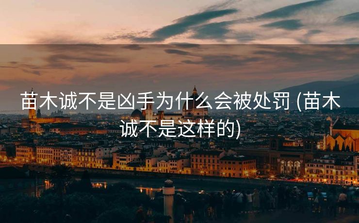 苗木诚不是凶手为什么会被处罚 (苗木诚不是这样的)