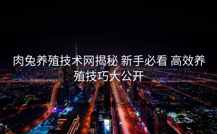 肉兔养殖技术网揭秘 新手必看 高效养殖技巧大公开