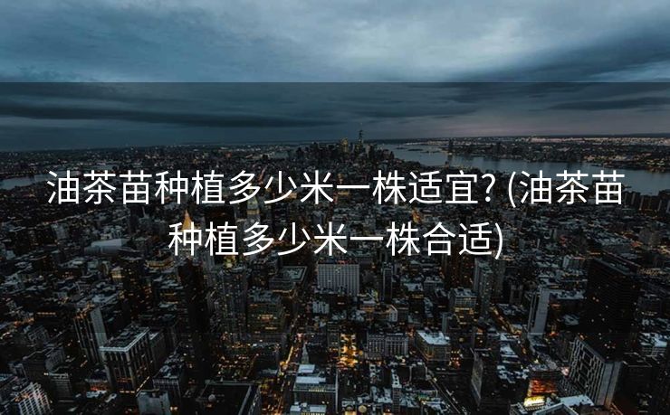 油茶苗种植多少米一株适宜? (油茶苗种植多少米一株合适)