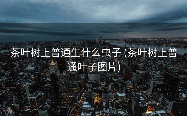 茶叶树上普通生什么虫子 (茶叶树上普通叶子图片)