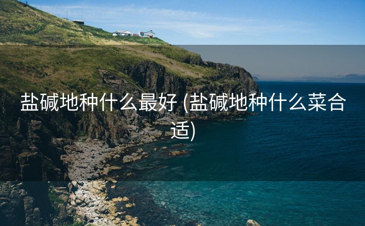 盐碱地种什么最好 (盐碱地种什么菜合适)