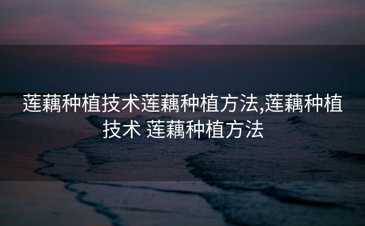 莲藕种植技术莲藕种植方法,莲藕种植技术 莲藕种植方法