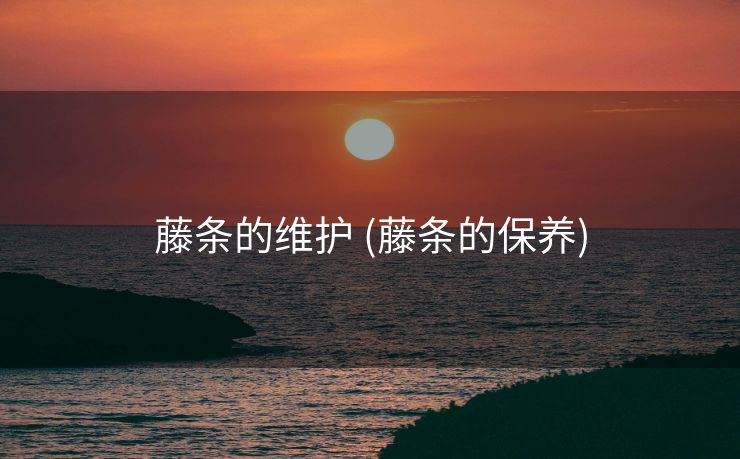 藤条的维护 (藤条的保养)