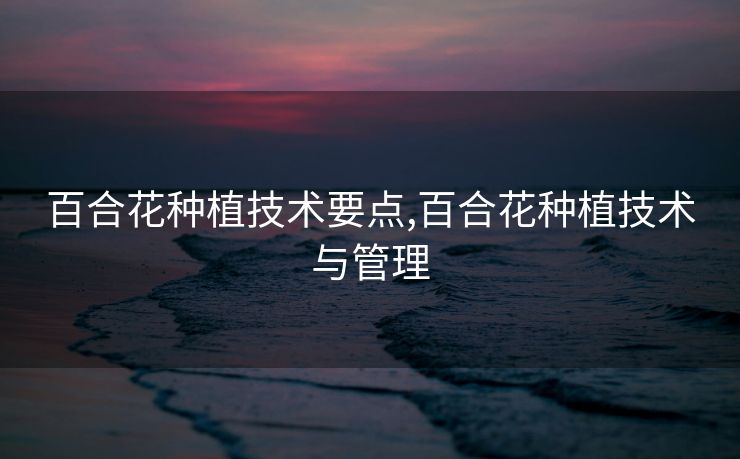 百合花种植技术要点,百合花种植技术与管理