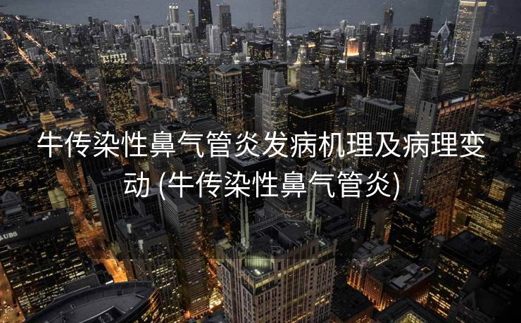 牛传染性鼻气管炎发病机理及病理变动 (牛传染性鼻气管炎)