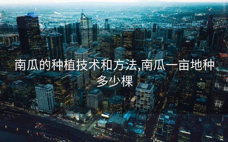 南瓜的种植技术和方法,南瓜一亩地种多少棵