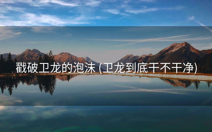 戳破卫龙的泡沫 (卫龙到底干不干净)