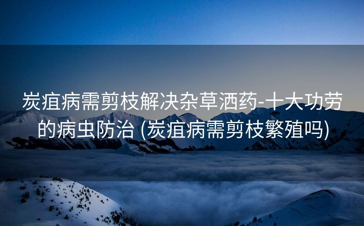 炭疽病需剪枝解决杂草洒药-十大功劳的病虫防治 (炭疽病需剪枝繁殖吗)